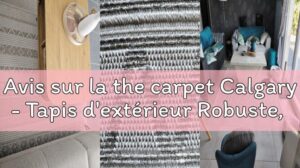 Bewertung des Calgary-Teppichs - Robuster, wetterfester und UV-beständiger Außen-Teppich
