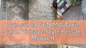 Bewertung des GENIMO Vintage-Perserteppichs für das Wohnzimmer, maschinenwaschbarer Teppich mit rutschfester Unterseite