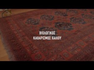 Biologischer Teppichreinigung | Spiti bioClean