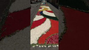 Blumenleisten | Corpus