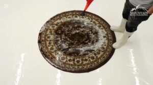 ❤️🙈DASHA ROX' GESCHICHTE + FASZINIERENDE TEPPICHREINIGUNG✔️ #dastarox #geschichten #teppichreinigung #empfehlungen