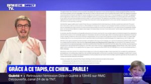 Dank diesem Teppich spricht dieser Hund!