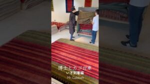 Der Doktor und der Kcart #Übung #Gabbeh #Nomaden #Kaschgai #Kunst #Interieur #Teppich #gabbeh #teppich