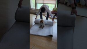 Der kleine Junge, der den Teppich selbst beim Putzen nicht aufgeben kann