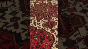 Der lebendige 4’9″ x 7′ Bakhtiari