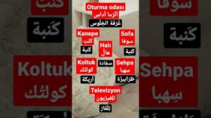 Die Bestandteile des Wohnzimmers auf Türkisch (Sofa - Couch - Sessel - Tisch - Teppich)