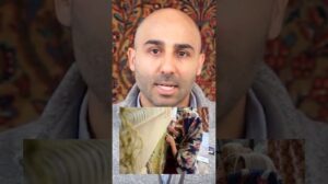 Die Geschichte der kasachischen Teppiche