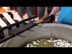 Die Seidenraupe in der Teppichfabrik in Kusadasi