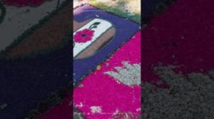 Die Teppiche von Patamban sind Kulturpatrimonium Mexikos #patamban #michoacán #kultur