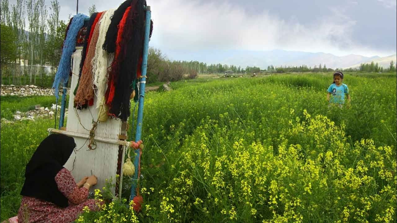 Die fesselnde Kunst der Bakhtiari-Teppiche: Tradition und Schönheit gestalten