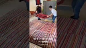 Doktor und Einkaufswagen #Übung #Gabbeh #Nomaden #Qashqai #Kunst #Interieur #Teppich #gabbeh #Teppich