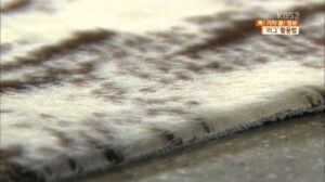 [Doku! Reporter Honig! Informationen] Warm und stilvoll…Nutzungsarten für Teppiche