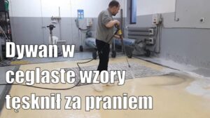 Ein schmutziger Teppich mit ziegelroten Mustern erhellte nach der Wäsche✨