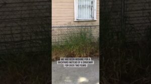 Eine moderne Terrassenumgestaltung mit einem Außen-Teppich