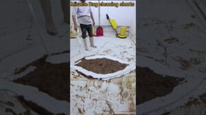 Eine sehr schmutzige Fransenmatte in Sekunden reinigen!