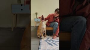 Exklusiver handgefertigter Teppich bald auf belkinhome.com 🤍