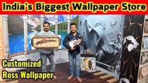 GÜNSTIGSTER TAPETENMARKT IN DELHI / IMPORTIERTE 3D-, 4D-TAPETEN, METALLKUNST, SCHAUMPANEELE, GRAS