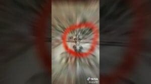 Gebetsteppich versteckte Gesichter