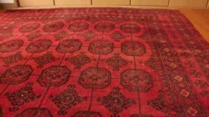 Großer Teppich! Dunkelrote, schwere turkmenische Handweberei im Empfangsraum 270 cm LMRB8685