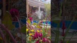 Kaffeekultur in Tabriz