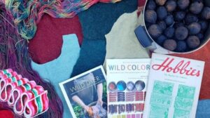 Kaffeepause Live-Chat, 8. Oktober. Natürliche Farbstoffe, Teppichknüpfen mit recycelten Pullovern, Farben sammeln