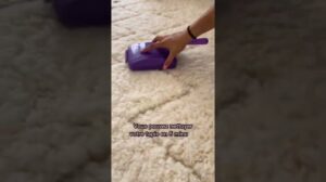 Kleine Reinigung von Wollteppichen 🤩