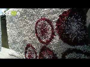 ML63 Teppichreinigung 1