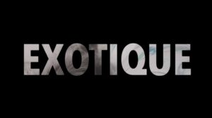 Moderne Bettwäsche: Exotischer Winter