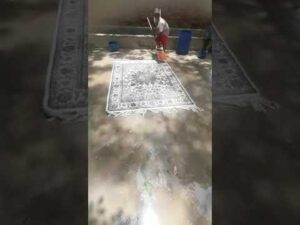 Neue Orientalische Nain erhält eine Teppichreinigung!