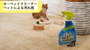 OxiClean Anwendung: Sauerstoffbleichmittel für Teppichreiniger gegen Tierverschmutzungen