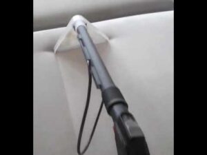 Polsterreinigung - König des Teppichs