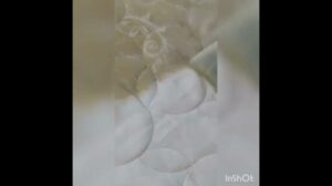 Polsterreinigung und Teppichreinigung Wunder Isfahan