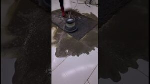 Professionelle Teppichreinigung zu Hause – einfach und schnell