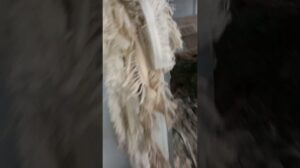 Rafokari Iranmehr. Handgeknüpfte Teppiche mit den besten Fäden und der besten Qualität in Qom.