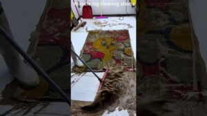 Reinigung von Einweg-Teppichen . asmr