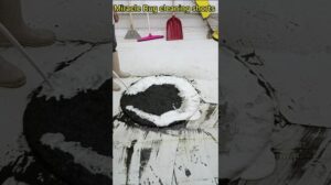 Reinigungsgeheimnisse, die deinen Teppich für immer verändern werden ASMR