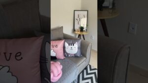 Sammlung Rosa Katzen mit Grau | Moderne Kissen | Teppiche für das Wohnzimmer | Dekoration
