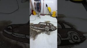 Sauberer Teppich: Die attraktivste und befriedigendste Art der Teppichreinigung in Bezug auf ASMR! Entspannung