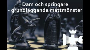 Schach | Dame und Springer | Grundlegende Mattmuster bei kurzer Rochade
