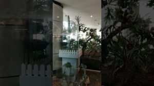 Schöner Ort im Opal-Einkaufszentrum / Teheran, Iran 2021 #shorts