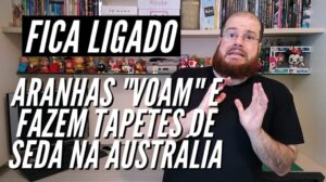 Spinnen 'fliegen' und weben Seidenteppiche in Australien