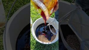 Steinteppich selbst gemacht