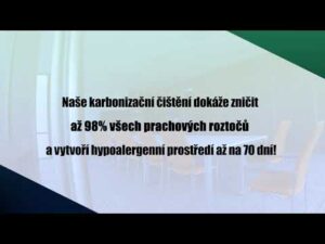 TEPPICH BRUDER / Karbonisiertes Reinigen von Teppichen und Polstern mit hypoallergenem Effekt