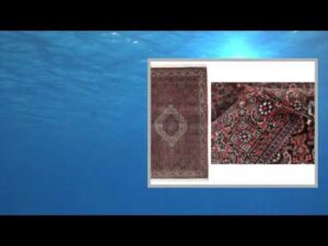 Tappeto Bidjar TakabBukan