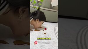 Teppich, den man nicht schmutzig machen kann, Trend 2025