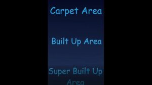 Teppichfläche vs. Bebaute Fläche vs. Super bebaute Fläche