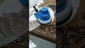 Teppichreinigung Leskovac 0695555450