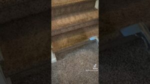 Teppichreinigung ist eine Investition.