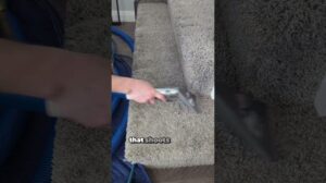 Teppichreinigung nach Kot in einer Mietwohnung