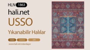 USSO Etnik Waschbarer Teppich HLN1863